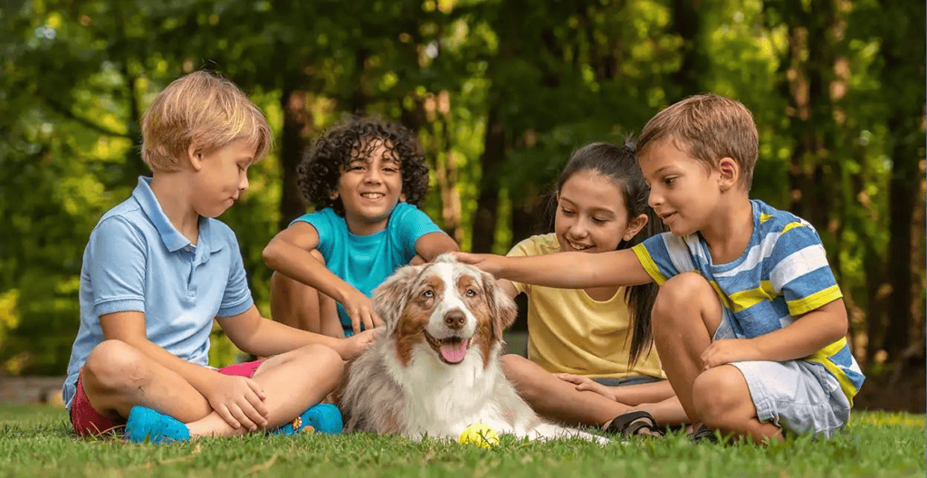 A group of young children petting a dog that is protected from bugs by DERMAGLOVE'S BUG OFF ME. A natural insect repellant free from DEET additives.