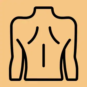 Body