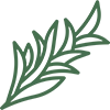 Rosemary Oil