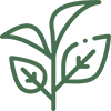 Teas: Green and White